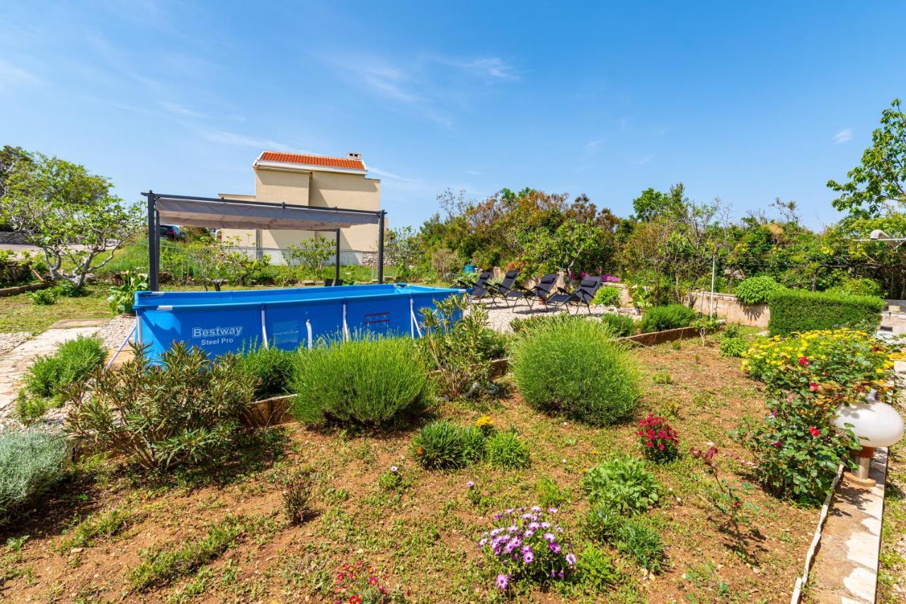 Novigrad  Apartment Sea And Mountain With Pool المظهر الخارجي الصورة